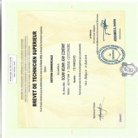 DIPLÔME de BTS | PDF