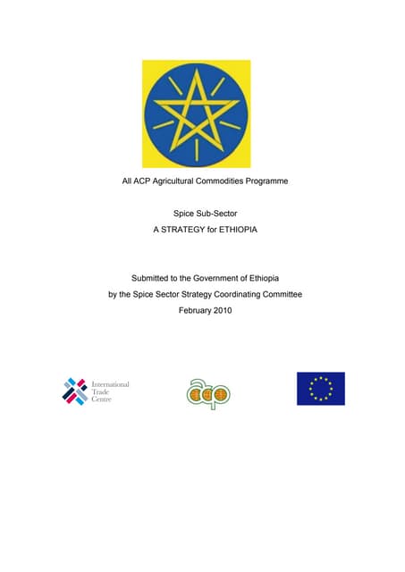 1 esab01astrategy ethiopia_march_fnal