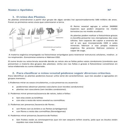 1º eso. tema 11. O reino plantas