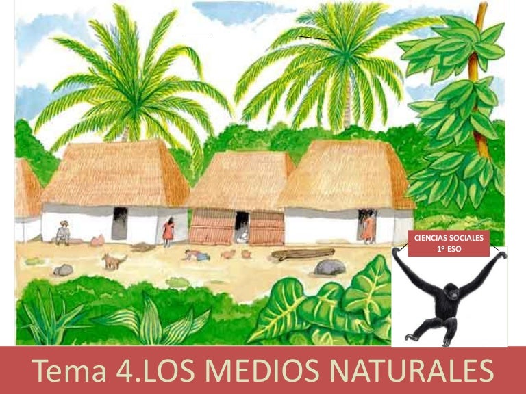 Q No Puede Reproducirse Por Medios Naturales Tema 4. Los medios naturales.