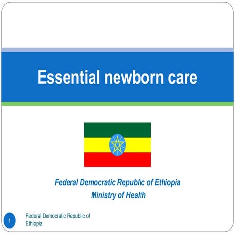 1 Essential newborn care for pediatrics (1).ppt