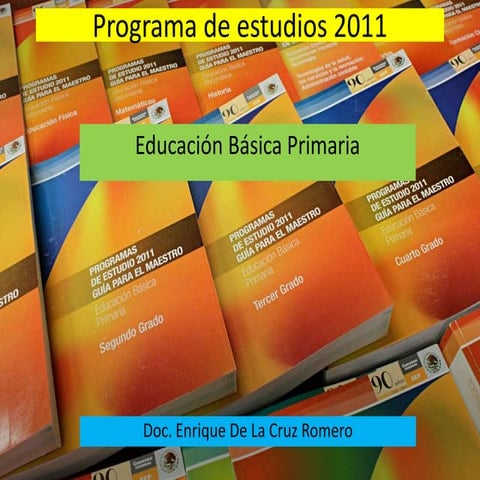 1 estructura de planes y programa 2011 edu bas | PPT