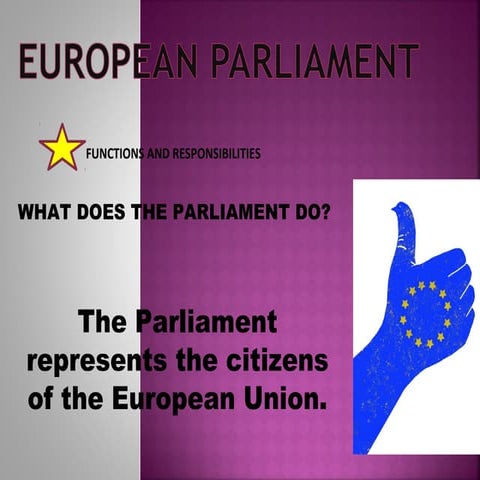 European Union visual data 8