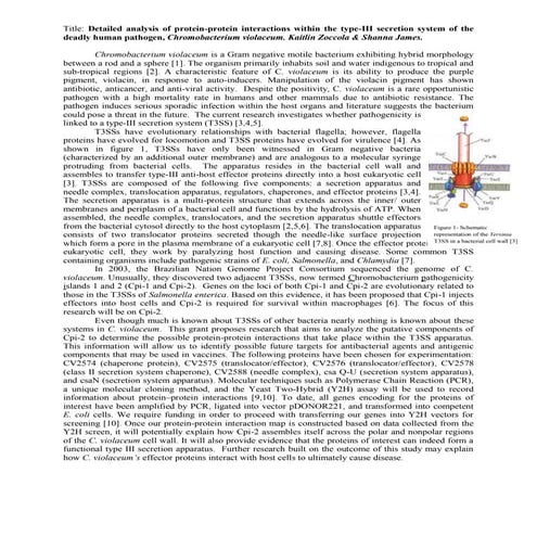 Undergraduate Research Grant