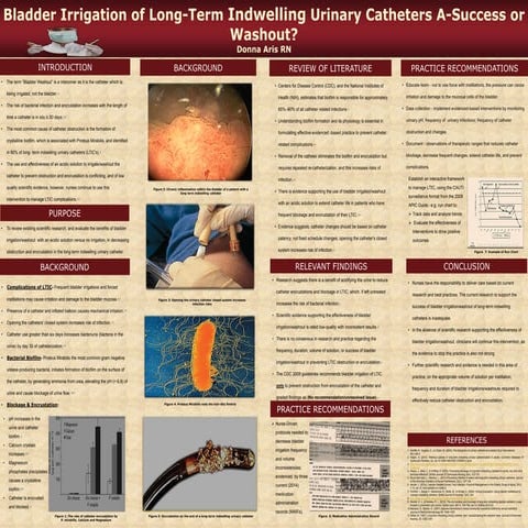 POSTER NOVEMBER 14 2014  REVISION 1 DONNA ARIS