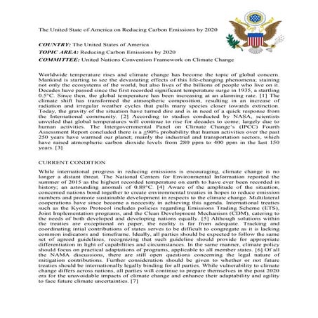 UNFCCC - Position Paper - United States of America