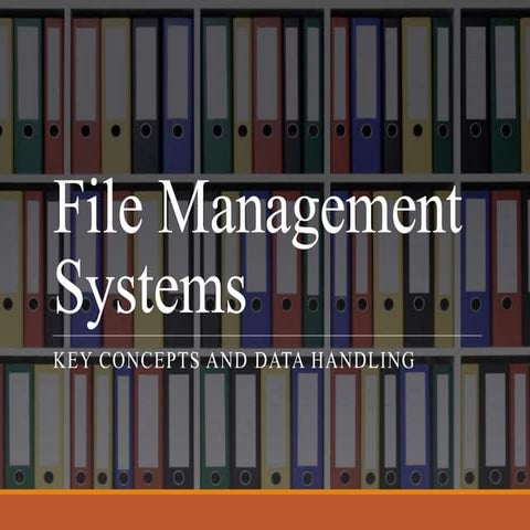 File_Management_Systems_field record file.pptx