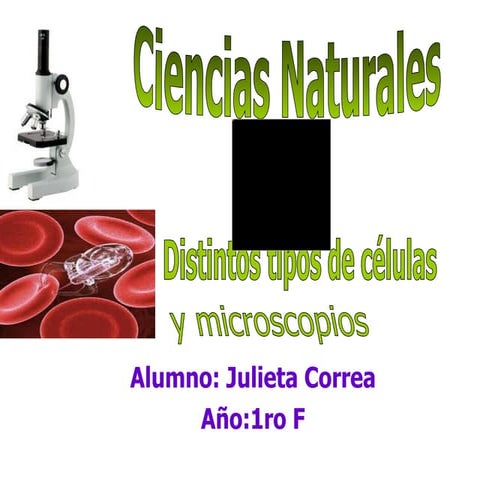 1º f julieta correa   celula microscopio