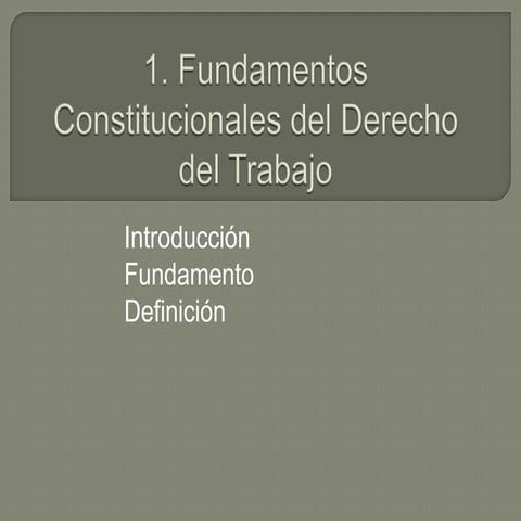 1 fundamentos constitucionales