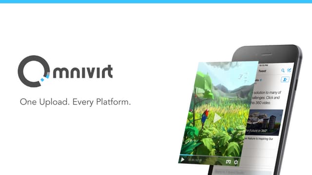 Omnivirt overview
