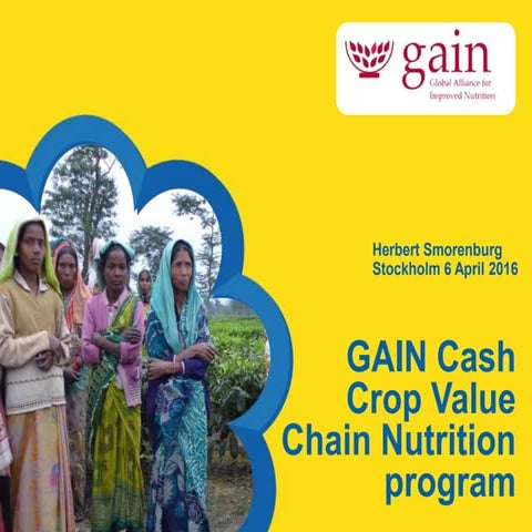 Herbert Smorenburg - Gain cash crop value chain nutrition program
