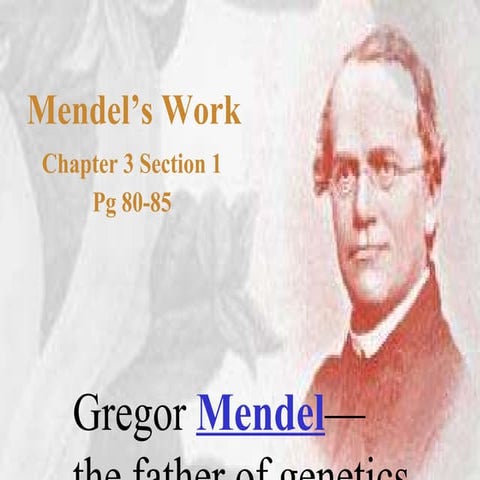 Probability, Mendel, and Genetics Powerpoint