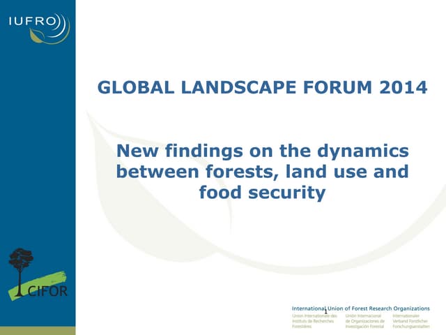 thumbnail of  New findings on the dynamics between forests, land use and food security