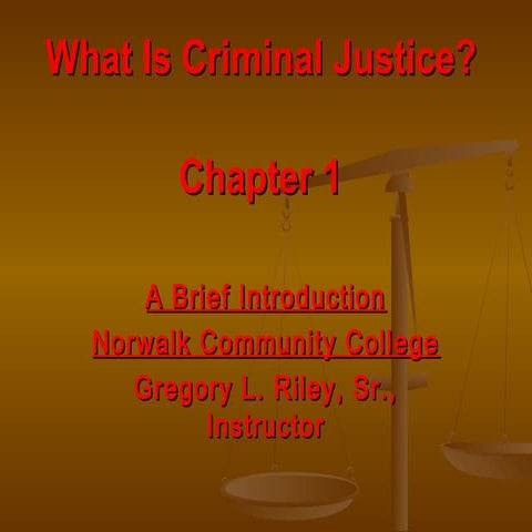 Schmalleger Chapter 1 What is criminal justice – chapter 1