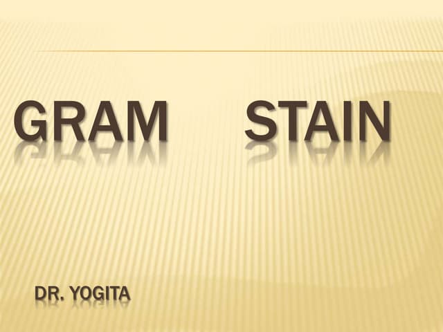  Gram stain 