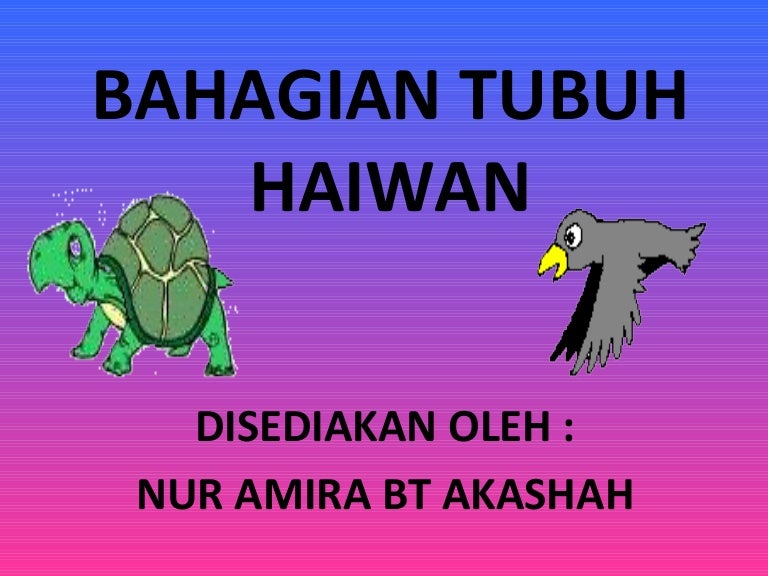 Bahagian Tubuh Haiwan