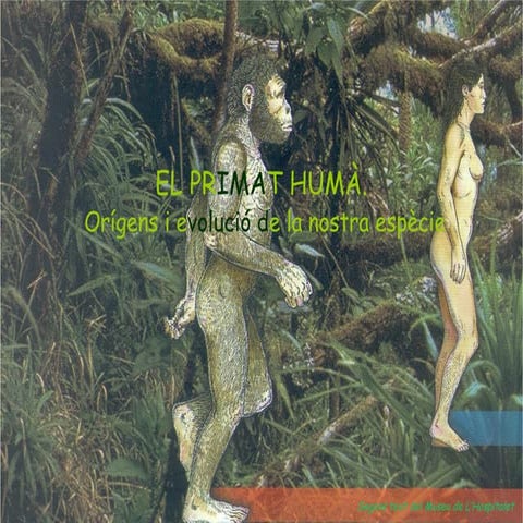Evolució dels primats