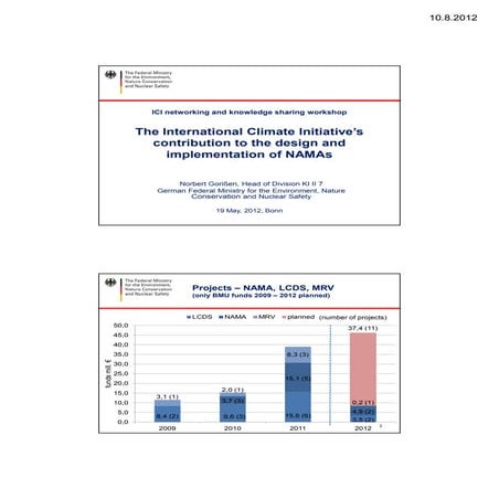 The International Climate Initiative's Contribution to the Design and Impleme...