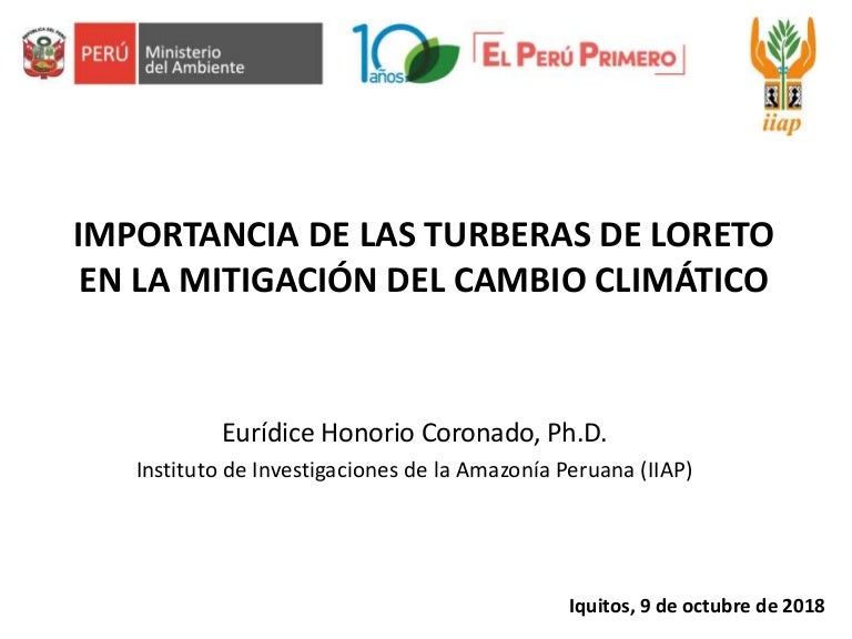 thumbnail of  Importancia de la turberas de Loreto en la mitigación del cambio climático