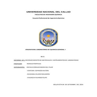 1 informe de laboratorio 96 g