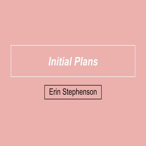 (1) Initial Plans