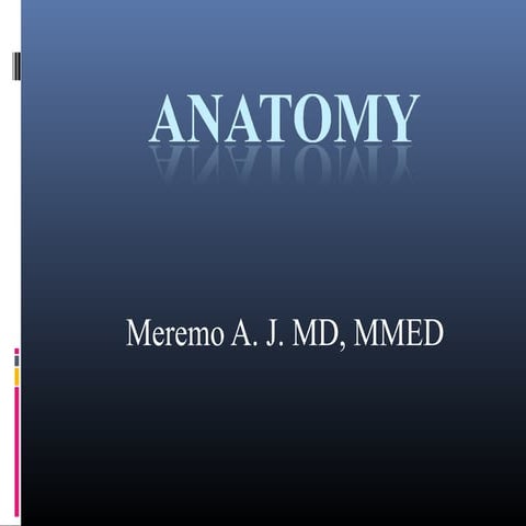 1 introduction to anatomy