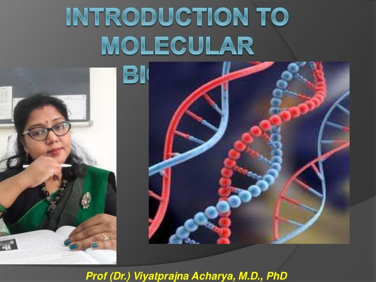 1 introduction to molecular biology