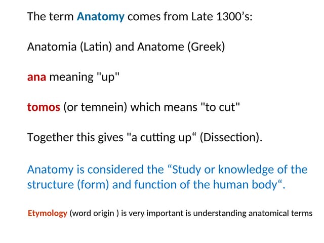 a wonderful presentation about intro to anatomy