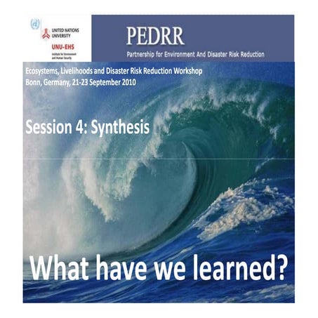 1 ioana creitaru pedrr workshop session 4