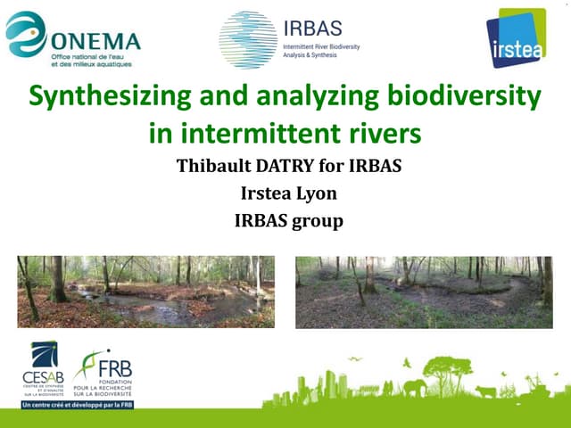 Biodiversity of intermittent rivers: analysis & synthesis
