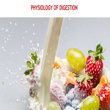 NznnjejbbbbjkskksksjddAbcdDigestion.pptx