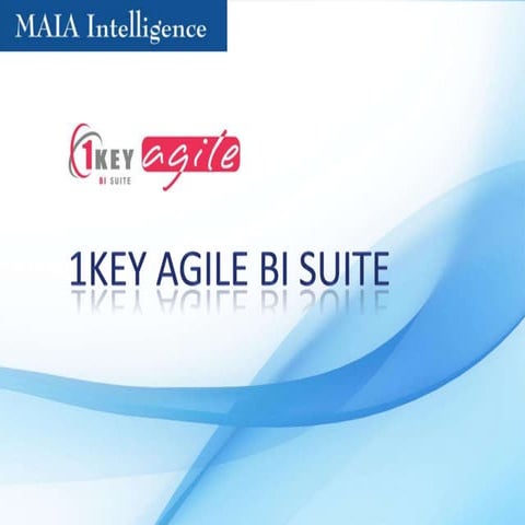 1 key Agile BI Suite