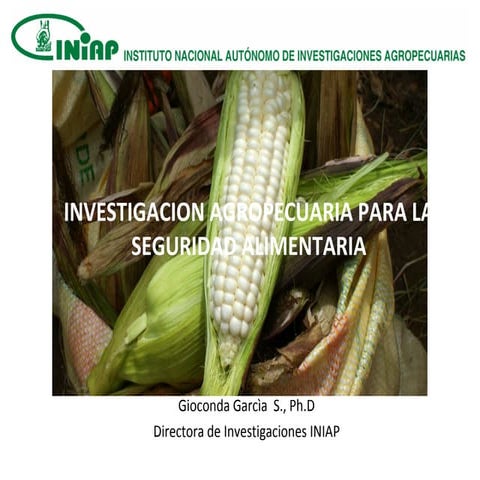tarea de moodleSeguridad alimentaria