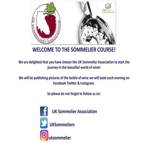 1 lesson Sommelier course