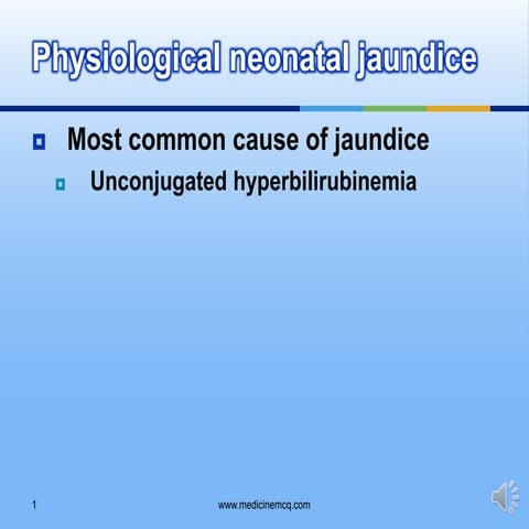 liver Bilirubin Metabolism Physiological Jaundice 