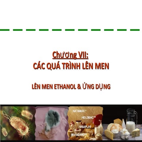lên men rượu