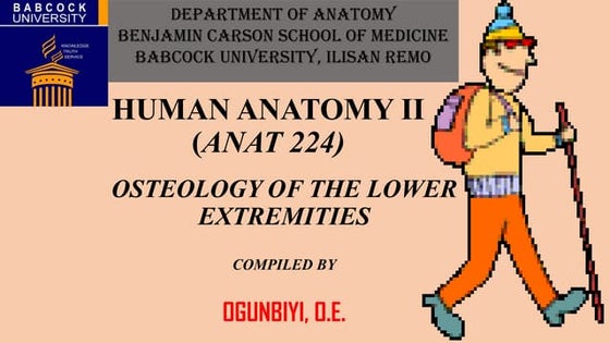 Anatomy and physiology of tibia and fibula tibia | DOC