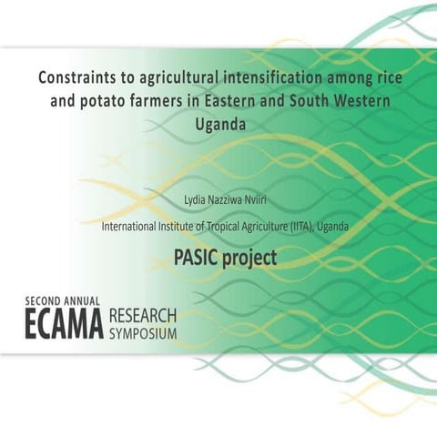 Constraints to agricultural intensification among rice and potato farmers in ...