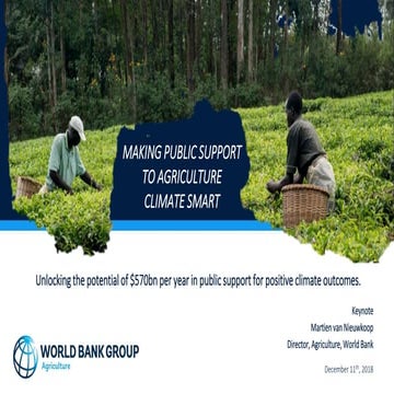 Food Systems Finance Advantage: Climate Smart Public Support - Martien van Ni...