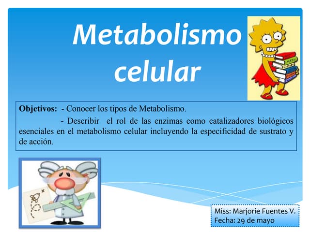 Reasearch en que es la tasa de metabolismo basal