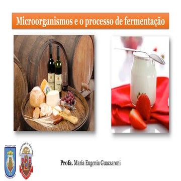 1_Microrganismos e o processo de fermentação_2022_compressed.pdf