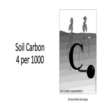 Soil Carbon 4 per 1000