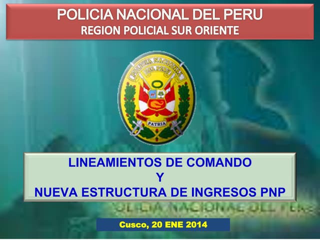 LINEAMIENTOS DE COMANDO 