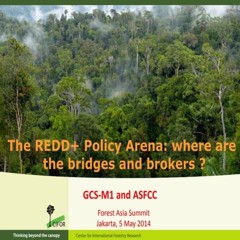  The REDD+ Policy Arena: where are the bridges and brokers ?