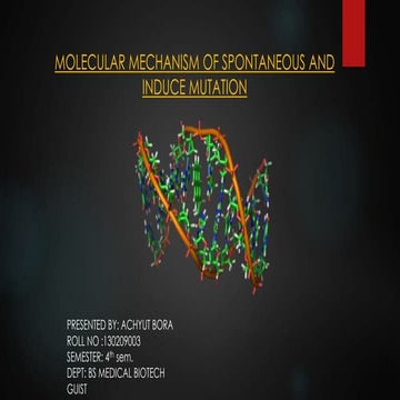 Molecular mechanism of Mutation