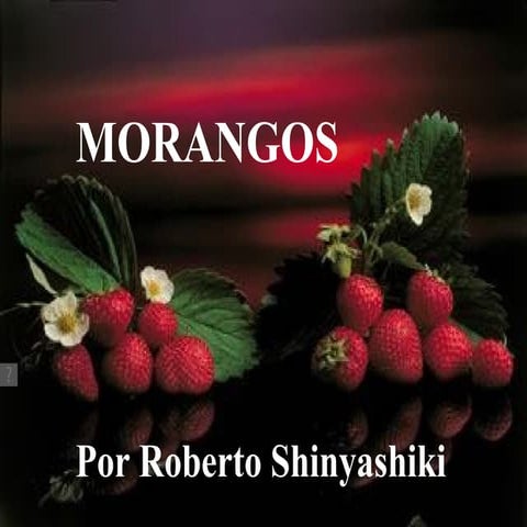 1 morangos robertoshinyashiki