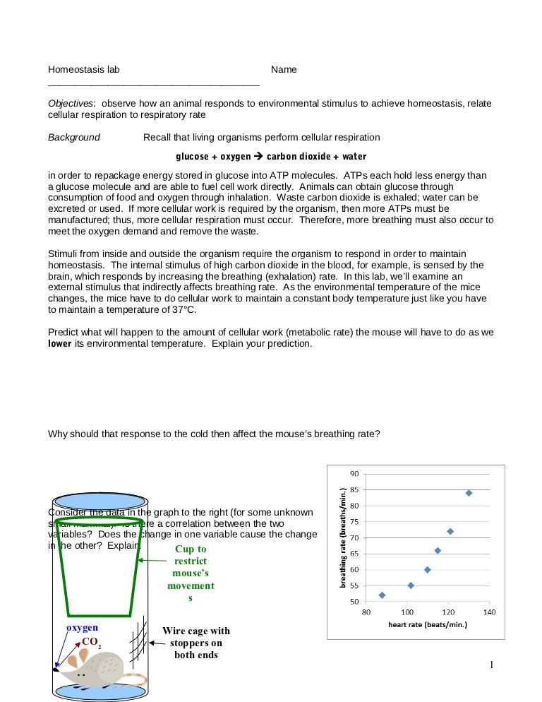 1 mouse homeostasis lab