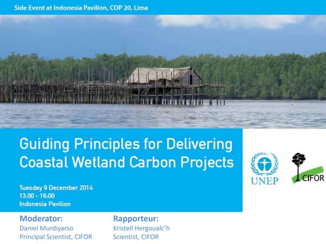 Guiding Principles for Delivering Coastal Wetland Carbon Projects