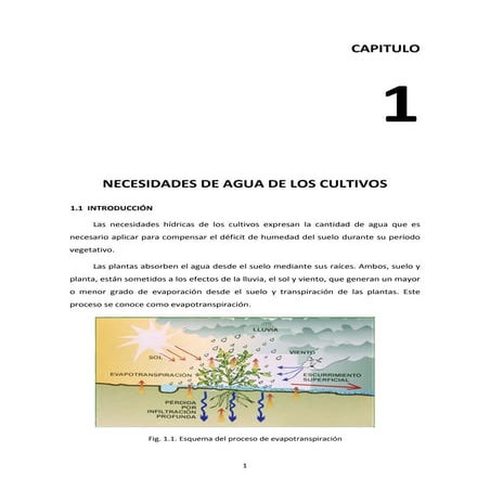 1 necesidades de agua de los cultivos