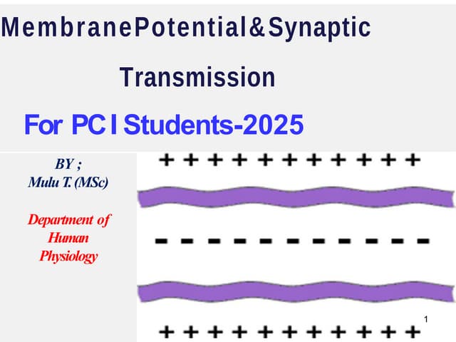 1_Neuron_Membrane_Potential_&_Synaptic_trasmission_2022.pptx